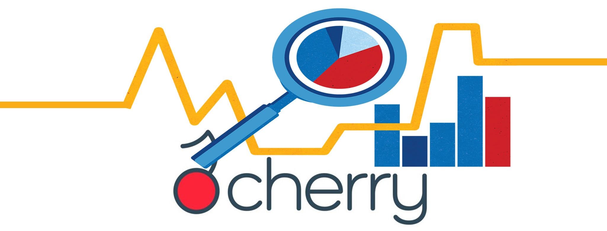 Banner Nasce Cherry SearchBar, il “Google" per l’analisi di posizioni debitorie