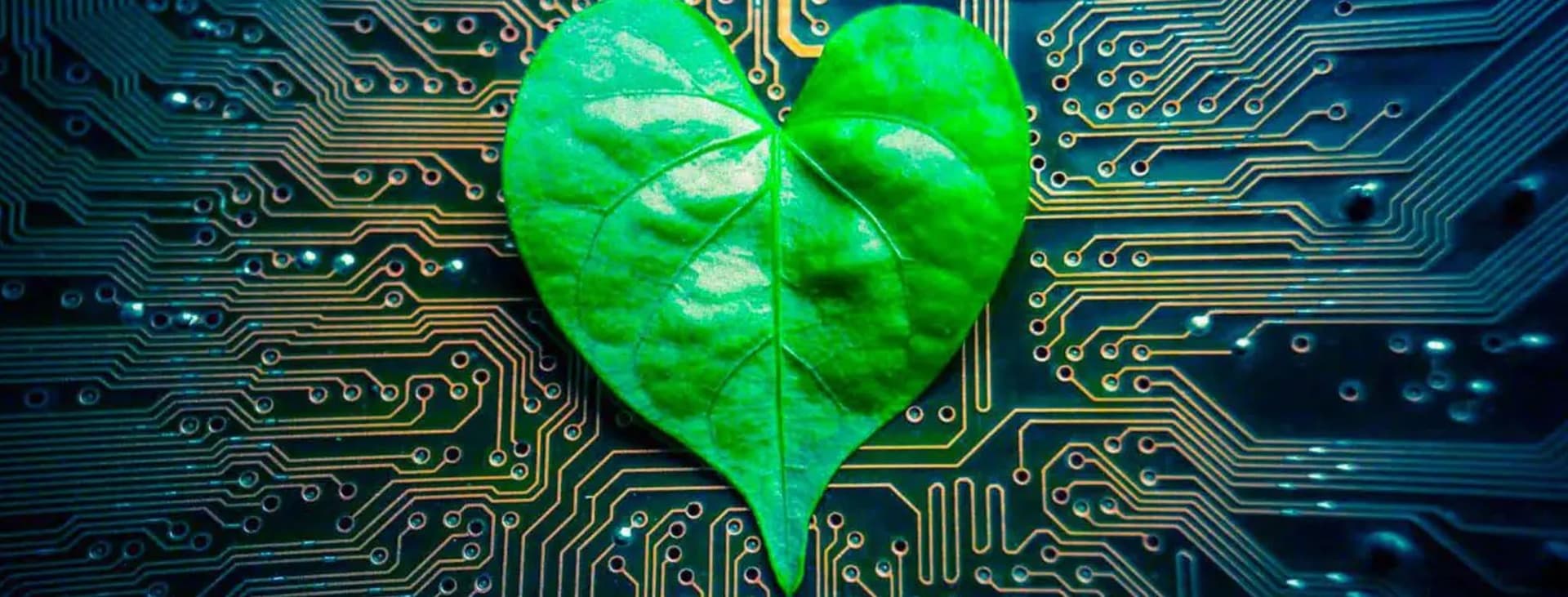 Banner Digital&Green, l’ascesa del Fintech for good: gli 8 trend del momento